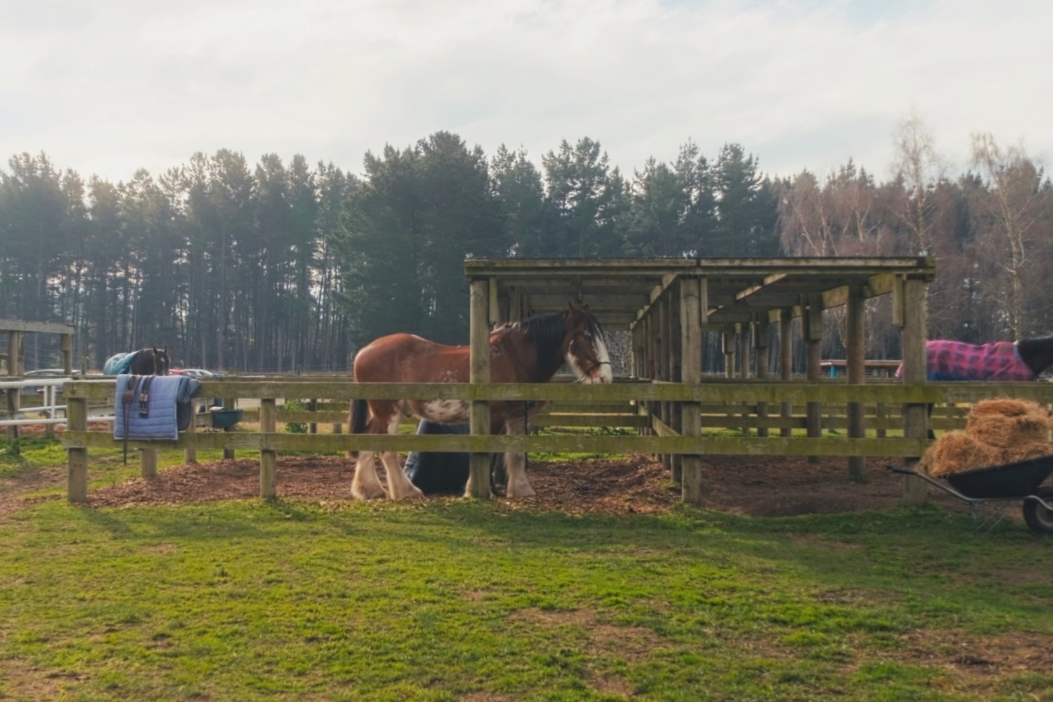 Westwood Stables