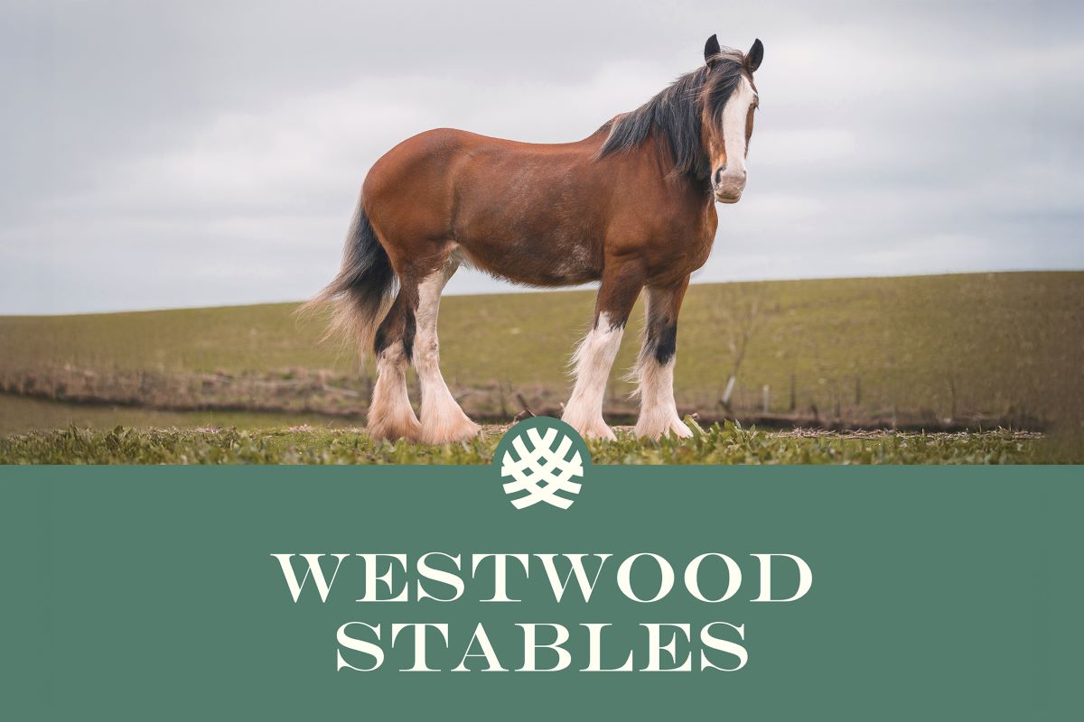 Westwood Stables logo